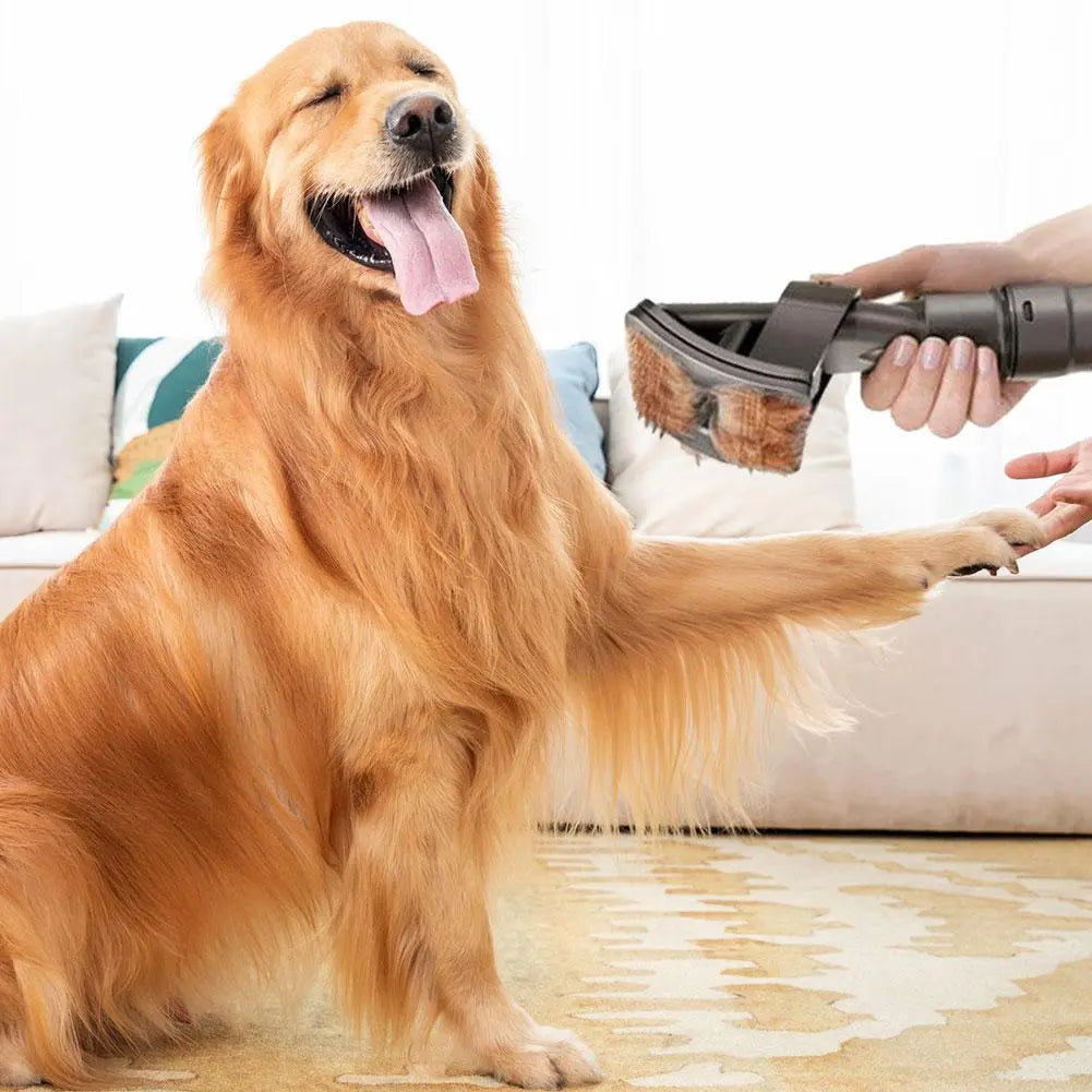 Brosse pour poils d'animaux à brancher sur l'aspirateur