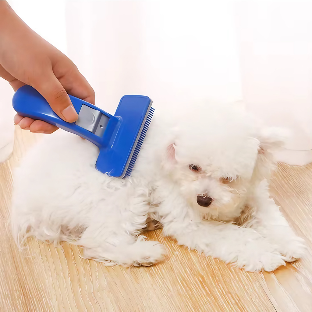 Brosse autonettoyante pour chien et chat, picots en silicone
