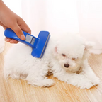Brosse autonettoyante pour chien et chat, picots en silicone