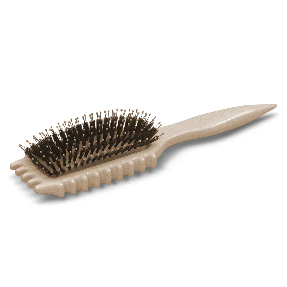 Brosse démêlante pour cheveux bouclés, frisés et crépus