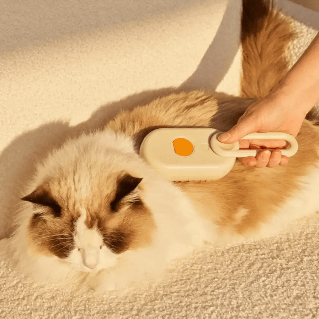 Brosse à poils souples pour chien et chat, blanc ou kaki