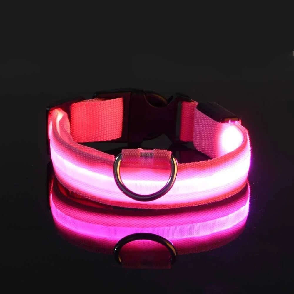Collier et laisse lumineux LED pour chien, en nylon, rose