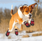Bottes pour chien imperméables à semelle en caoutchouc