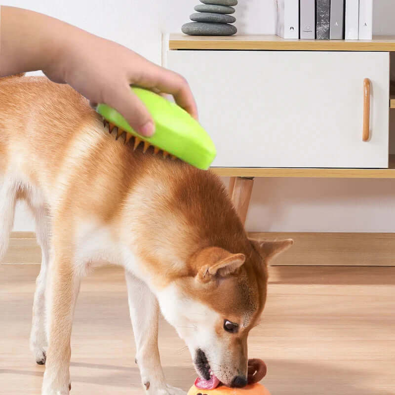 Brosse à brume pour chat et chien, anti-poils et massage