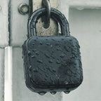 Cadenas à empreinte digitale sans clé, rechargeable, IP65