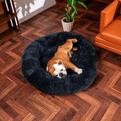 Lit orthopédique pour chien à rebords, housse lavable, cinq tailles