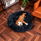 Lit orthopédique pour chien à rebords, housse lavable, cinq tailles