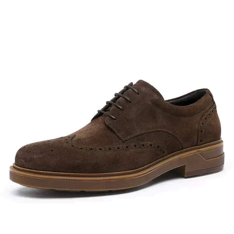Chaussures oxford homme perforées à lacets cirés, café