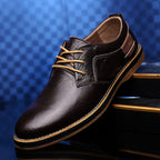 Chaussures de ville homme type oxford, du 38 au 48, marron