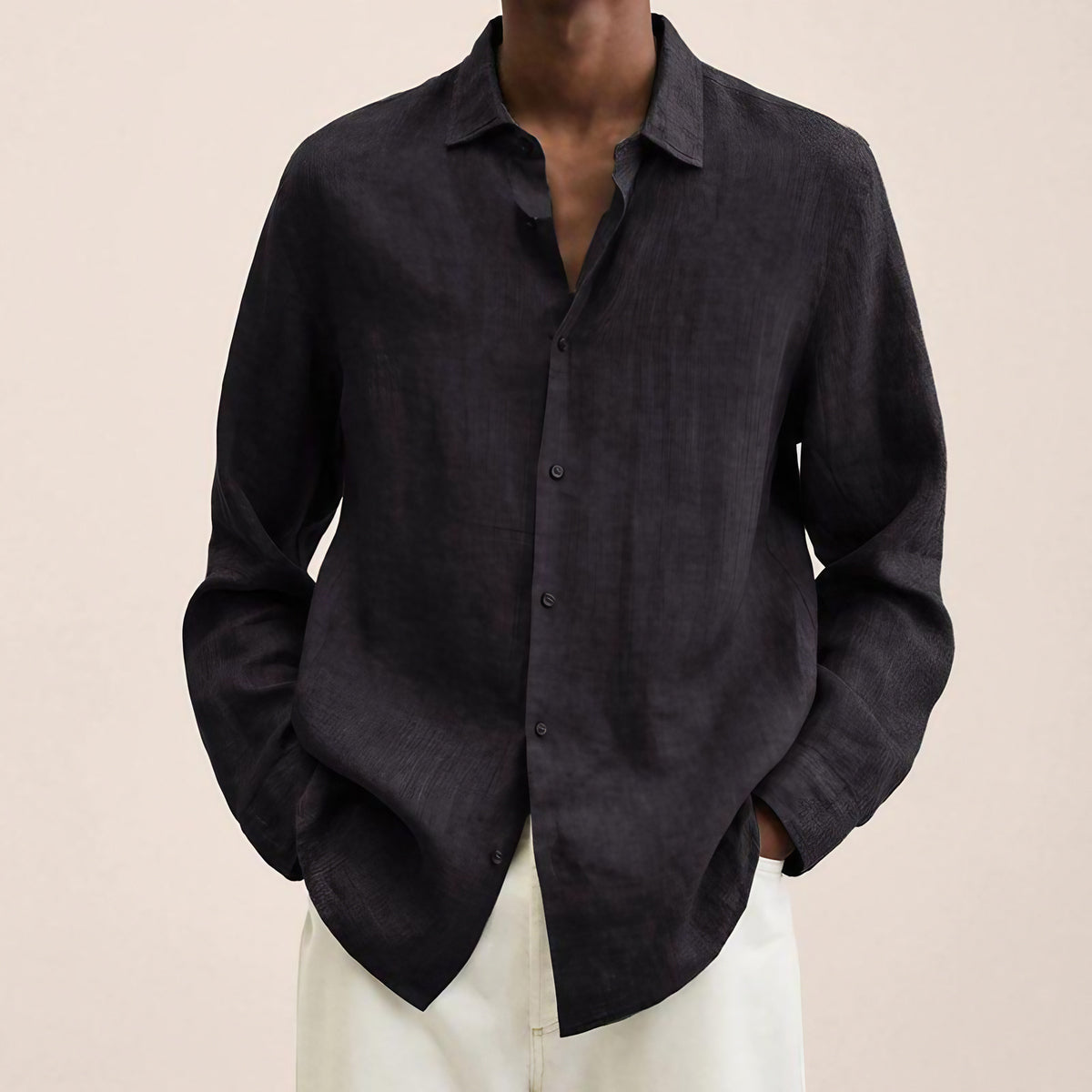 Chemise homme manches longues coupe classique, douze coloris