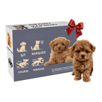 Chiot interactif en peluche pour enfant, blanc ou marron
