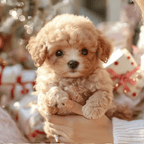 Chiot interactif en peluche pour enfant, blanc ou marron