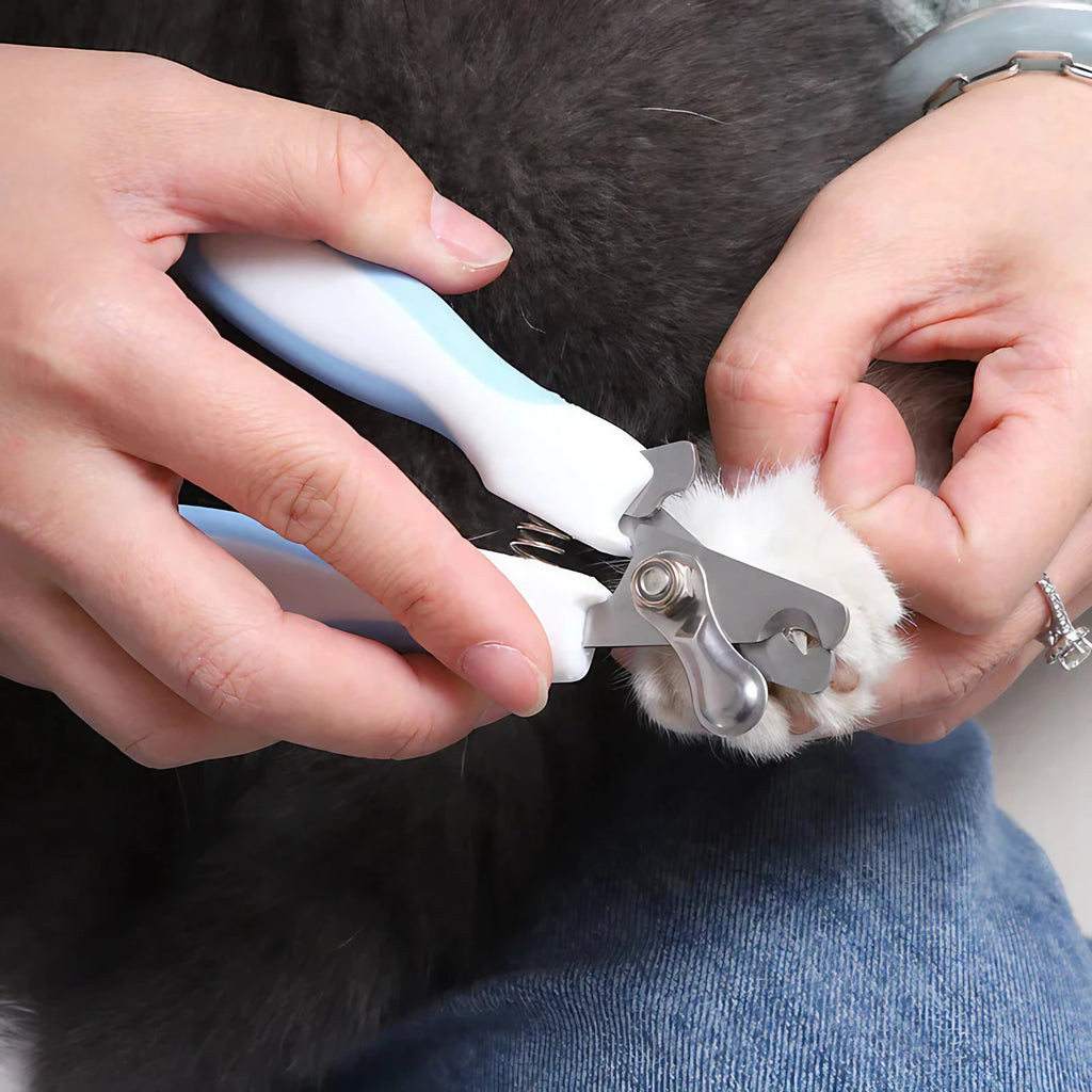 Coupe-griffes pour chien et chat avec lime intégrée