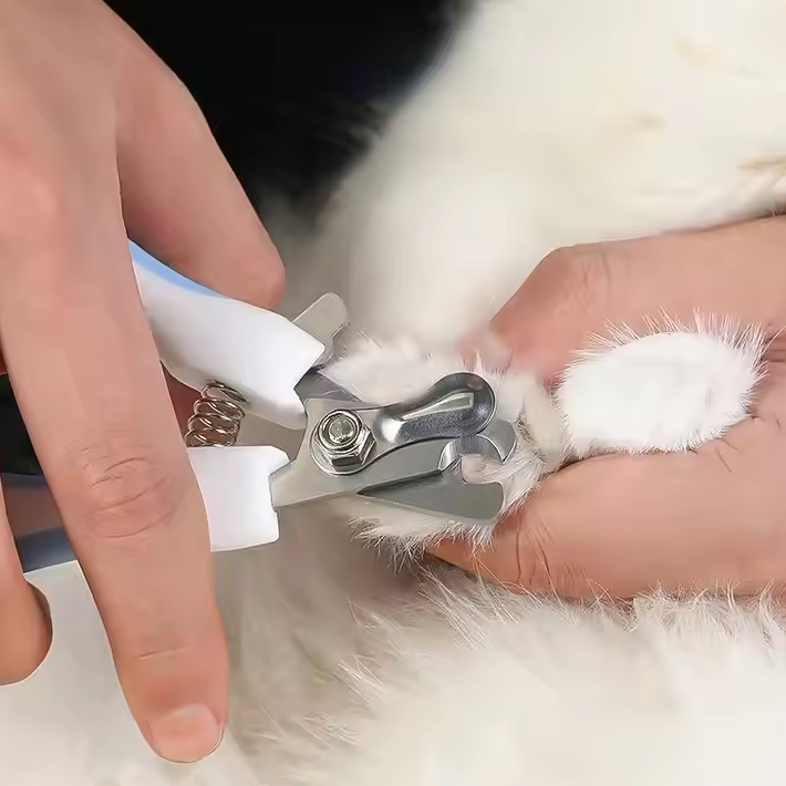 Coupe-griffes pour chien et chat avec lime intégrée