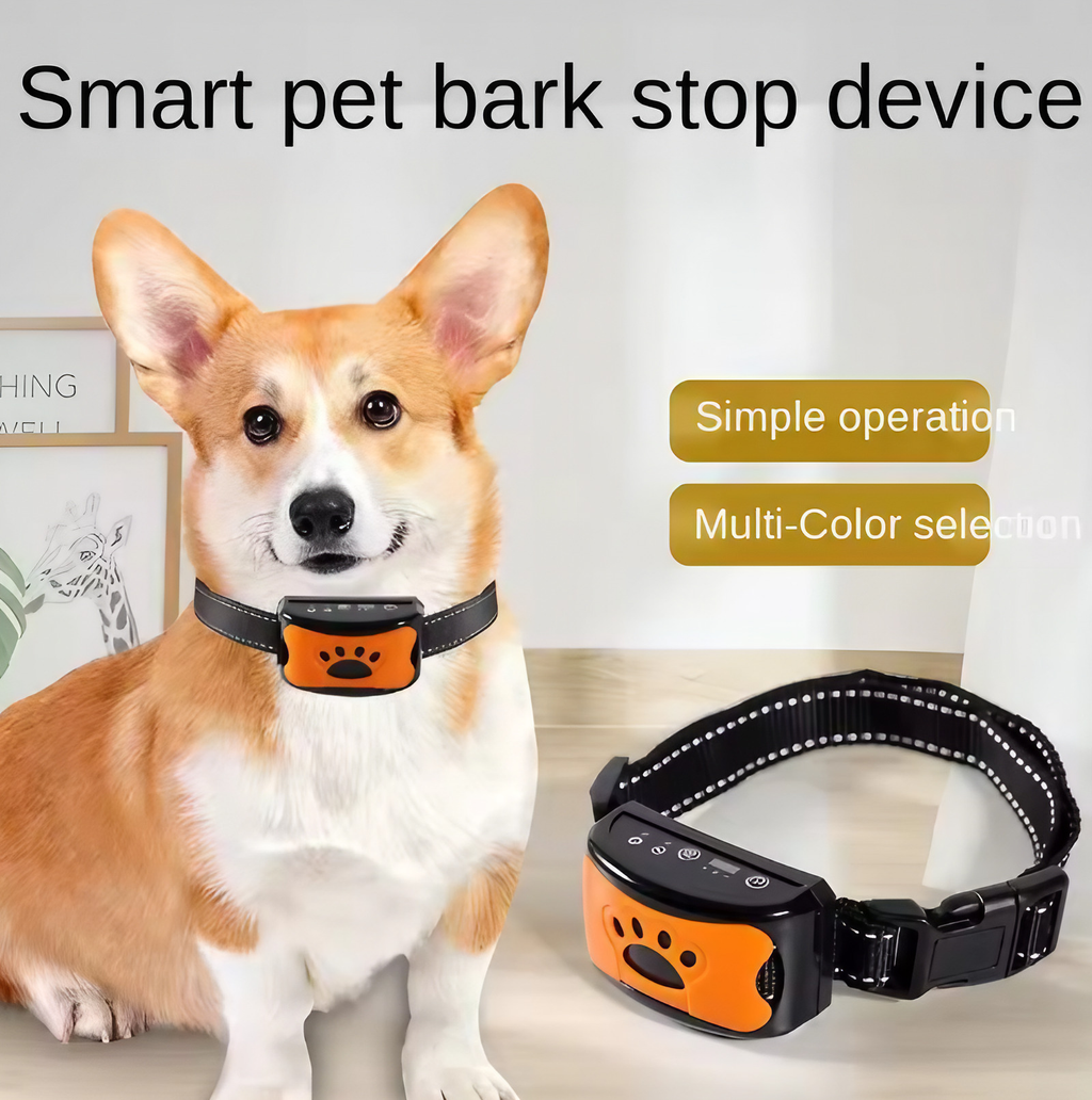 Collier anti-aboiement à vibration pour chien, rechargeable