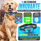 Collier anti-aboiement à vibration pour chien, sans choc