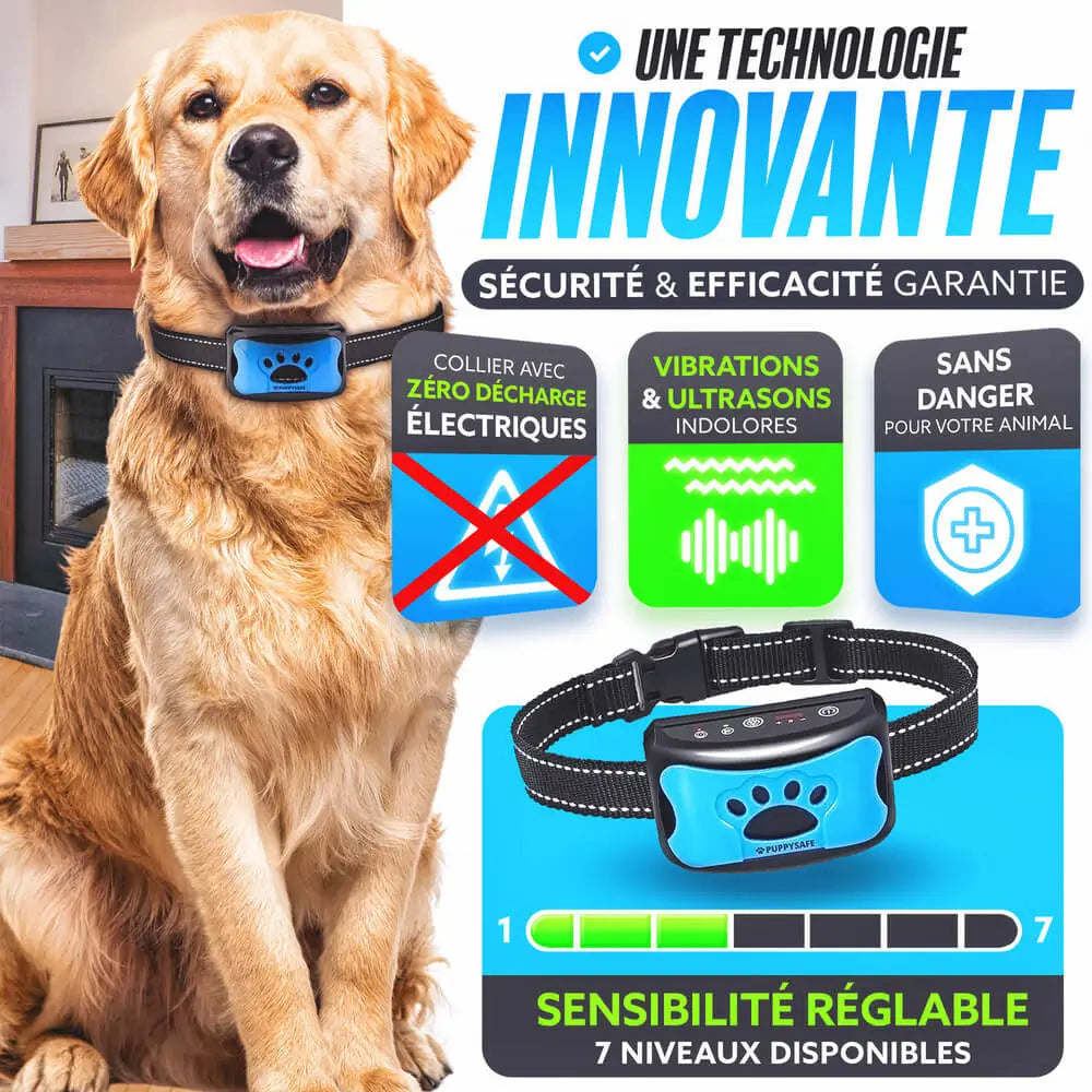 Collier anti-aboiement à vibration pour chien, sans choc