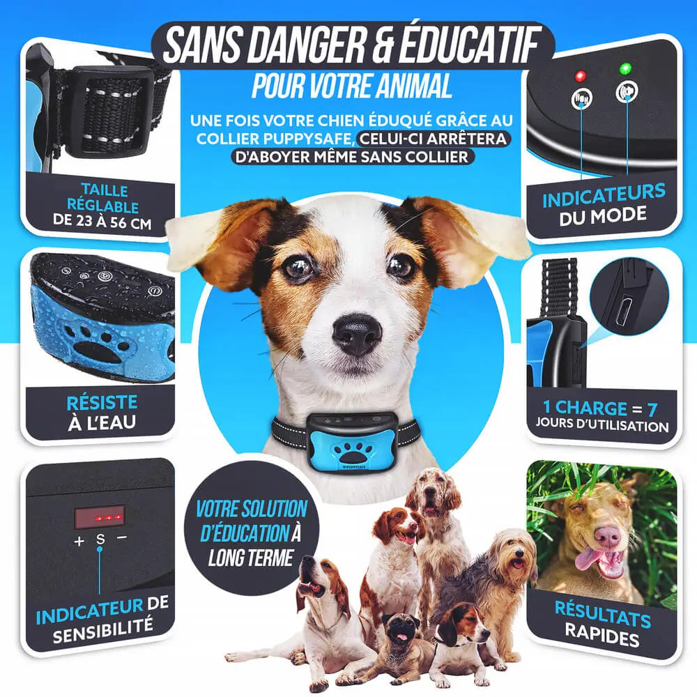 Collier anti-aboiement à vibration pour chien, sans choc