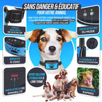 Collier anti-aboiement à vibration pour chien, sans choc