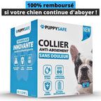 Collier anti-aboiement à vibration pour chien, sans choc