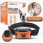 Collier anti-aboiement à vibration pour chien, sans choc, orange