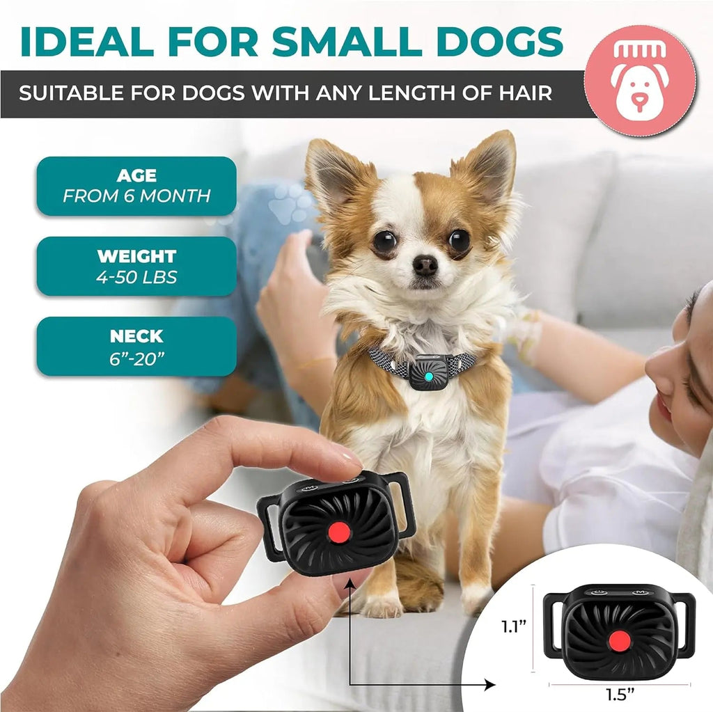 Collier anti-aboiement pour petit chien, vibration et son