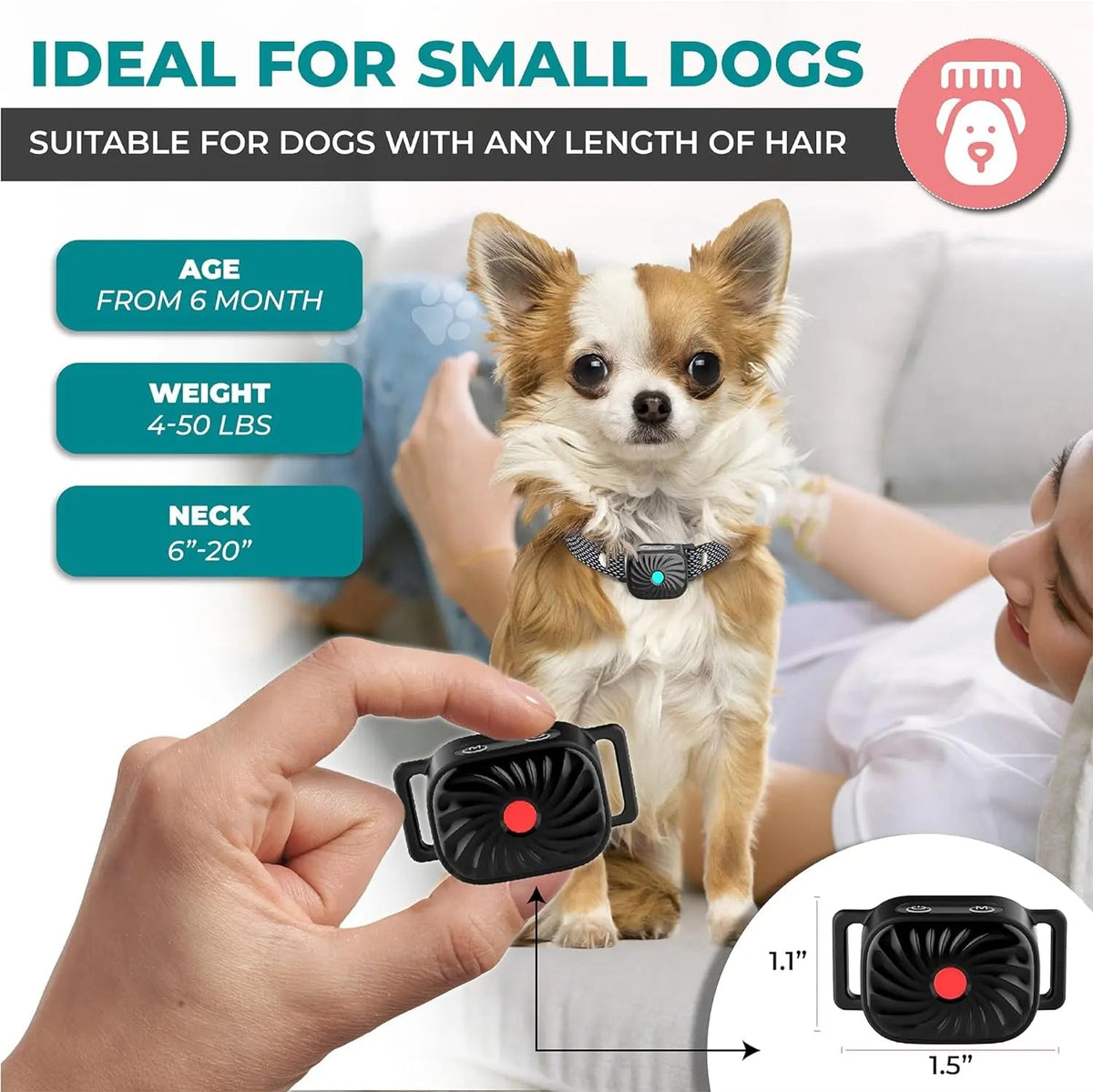 Collier anti-aboiement pour petit chien, vibration et son