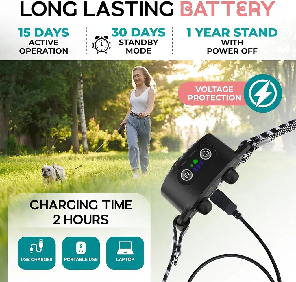 Collier anti-aboiement pour petit chien, vibration et son