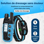 Collier d'éducation pour chien à vibration et son, sans choc