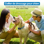 Collier d'éducation pour chien à vibration et son, sans choc