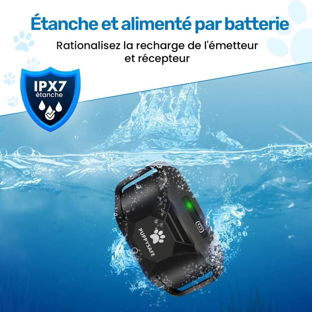 Collier d'éducation pour chien à vibration et son, sans choc