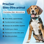 Collier d'éducation pour chien à vibration et son, sans choc
