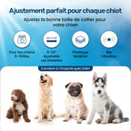 Collier d'éducation pour chien à vibration et son, sans choc