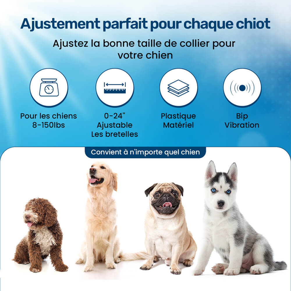 Collier d'éducation pour chien à vibration et son, sans choc