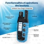 Collier d'éducation pour chien à vibration et son, sans choc