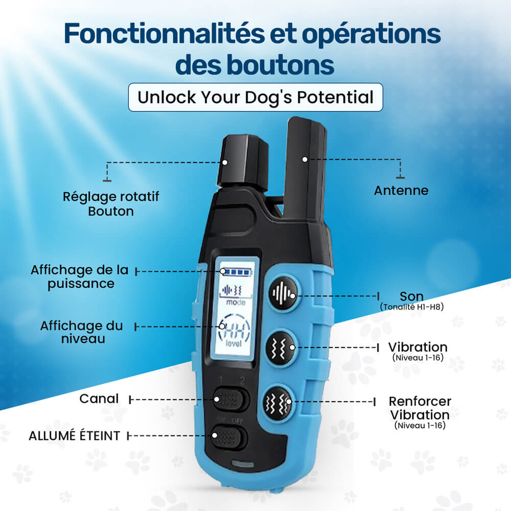 Collier d'éducation pour chien à vibration et son, sans choc