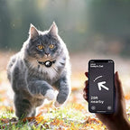 Collier chat réfléchissant à clochette, avec ou sans traceur