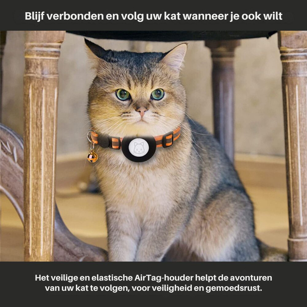 Collier chat réfléchissant à clochette, avec ou sans traceur