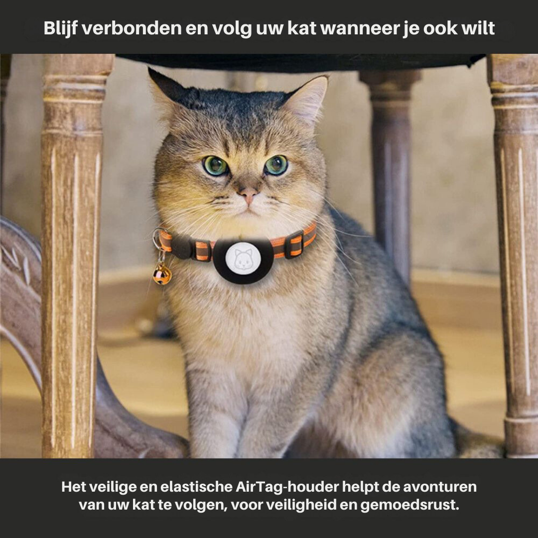 Collier chat réfléchissant à clochette, avec ou sans traceur