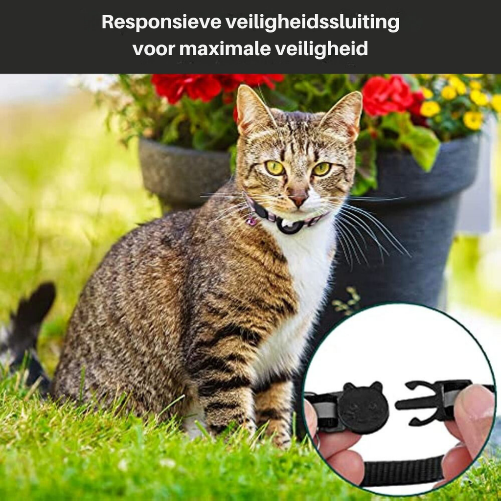 Collier chat réfléchissant à clochette, avec ou sans traceur