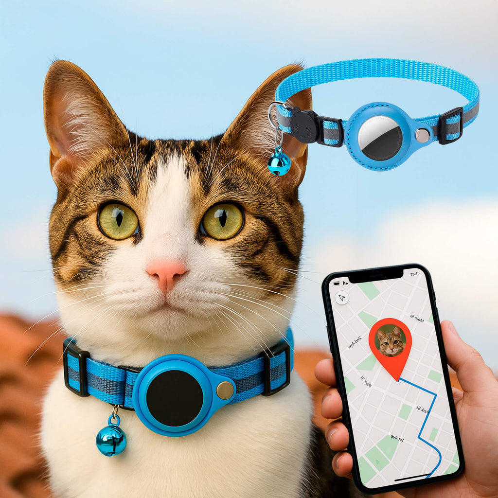 Collier pour chat en nylon réfléchissant, clochette, six coloris, bleu ciel