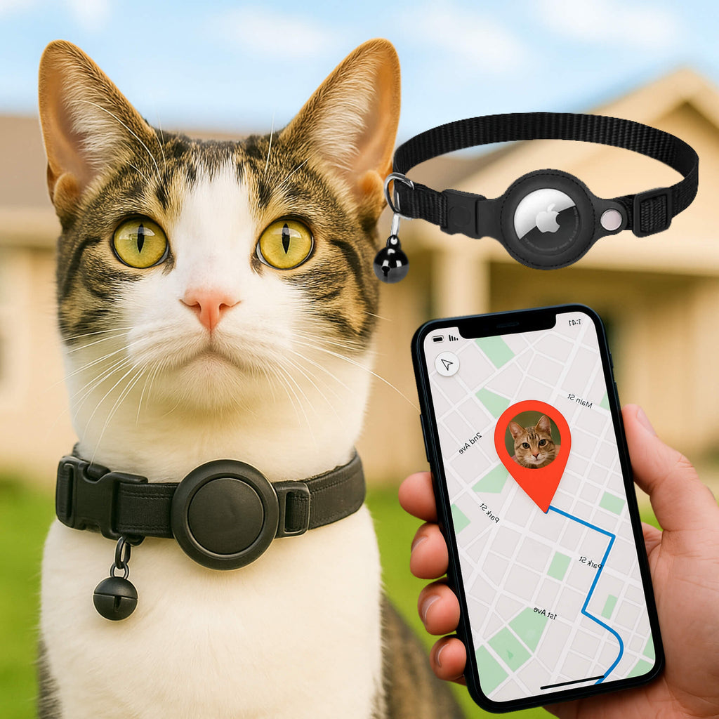 Collier pour chat en nylon réfléchissant, clochette, six coloris, noir