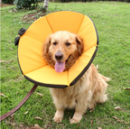 Collerette souple de protection pour chien, noire, XS à M