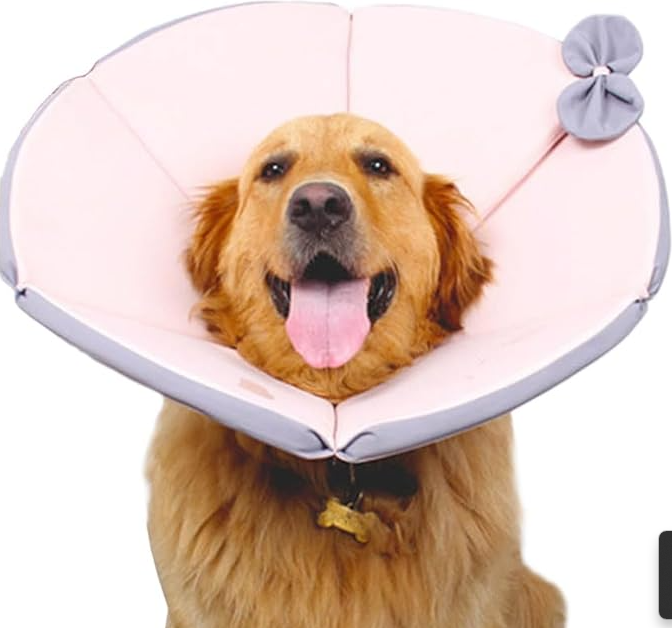 Collerette souple de protection pour chien, noire, XS à M