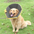 Collerette souple de protection pour chien, noire, XS à M, noir