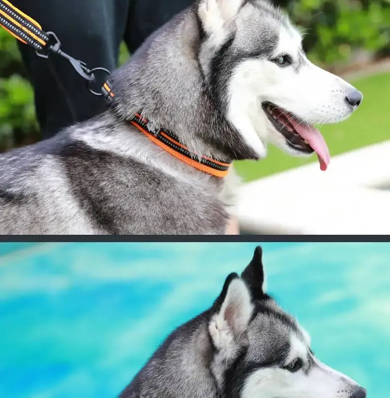 Collier pour chien réfléchissant en nylon, réglable, XXS au 3XL