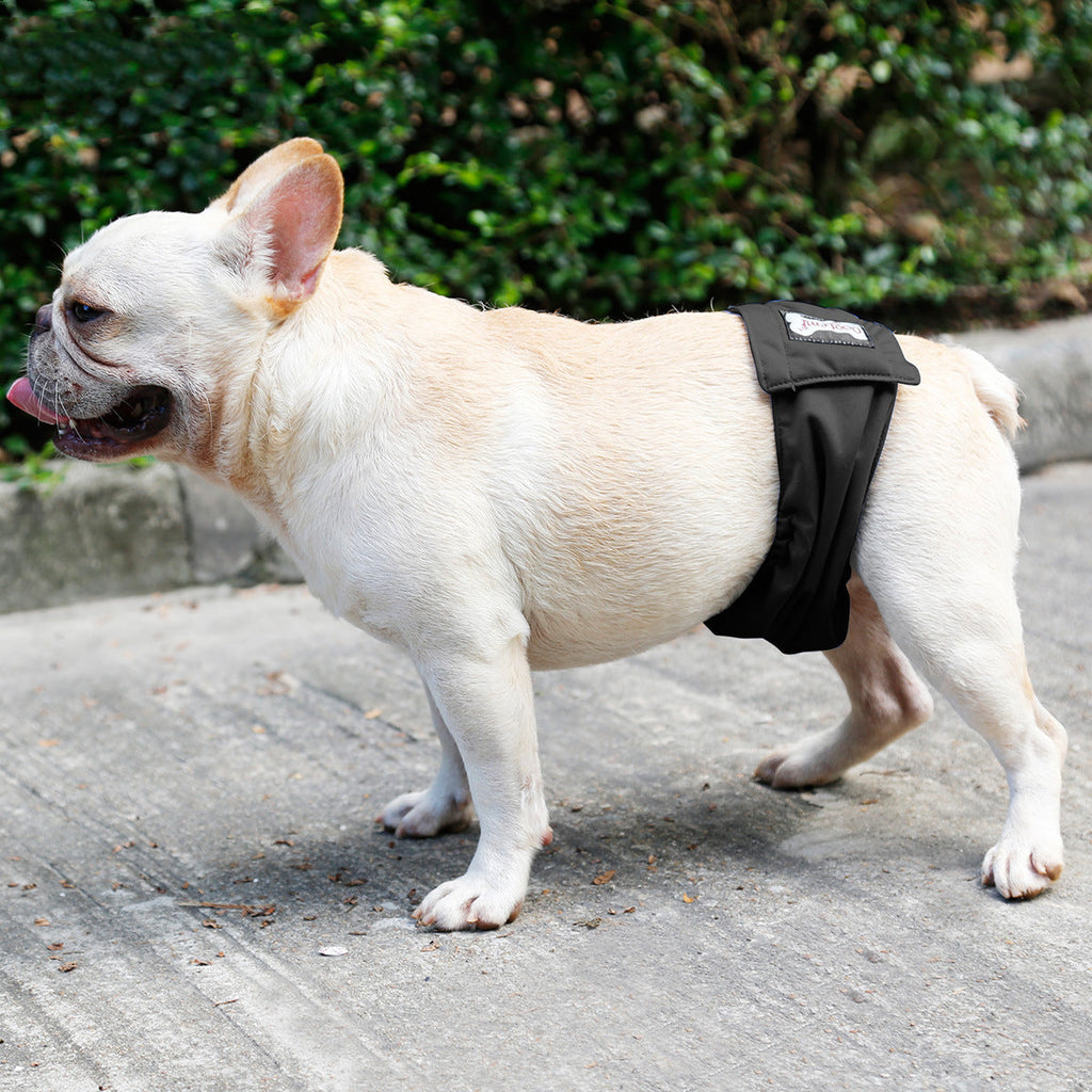 Couche pour chien mâle réglable, trois coloris, du XS au XXL