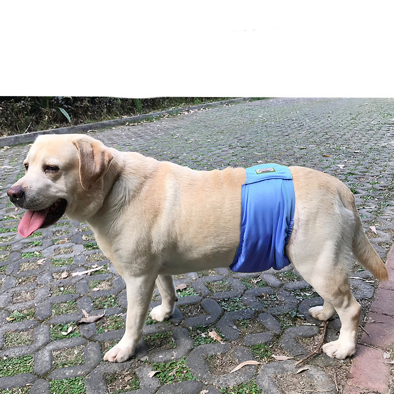 Couche pour chien mâle réglable, trois coloris, du XS au XXL