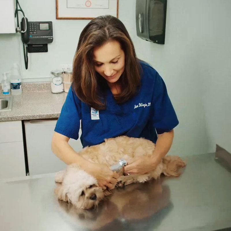 Coupe-ongles pour chien et chat à capteur, prise ergonomique