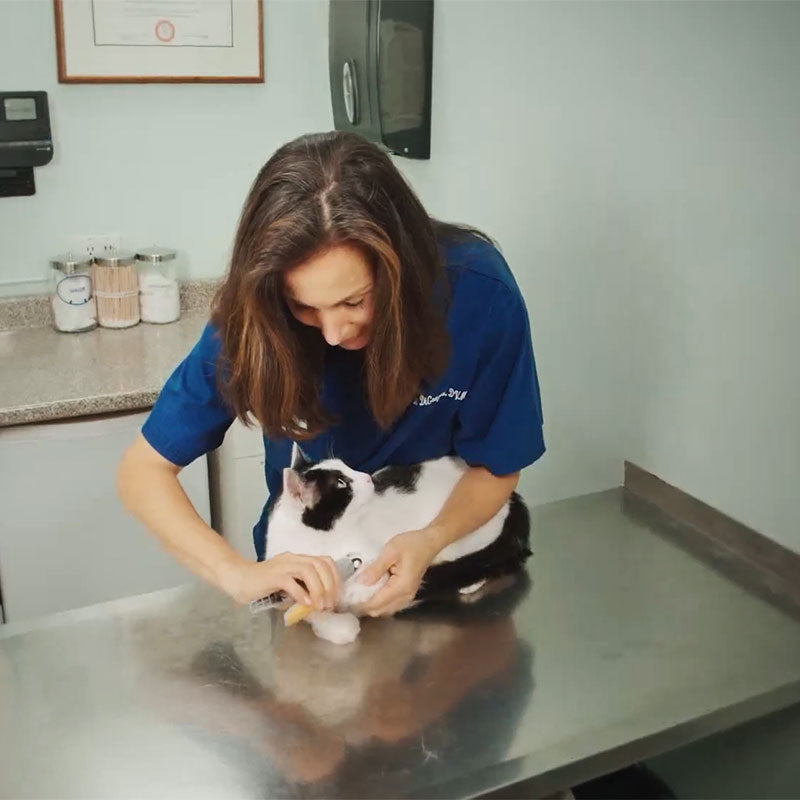 Coupe-ongles pour chien et chat à capteur, prise ergonomique